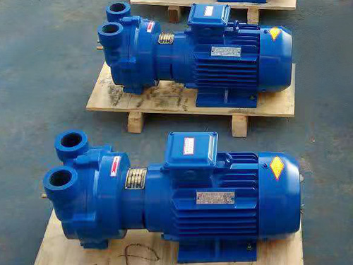 2BVA-5系列水环真空泵