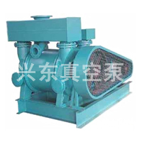 2BE1系列水环真空泵