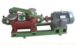 2SK系列以实际报告为主水环真空泵