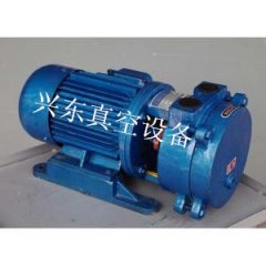 SK直联水环式真空泵
