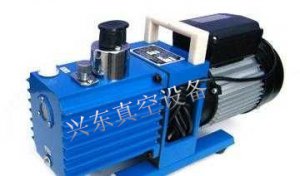 双极直联旋片真空泵