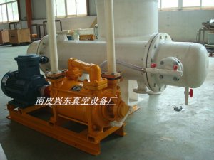 FSK系列以实际报告为主水环真空泵